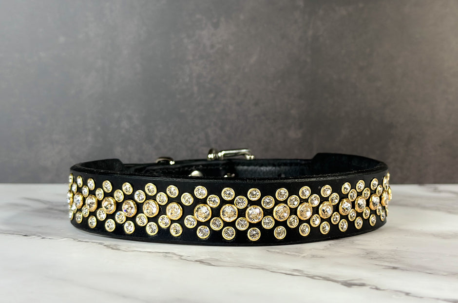 Bespoke Pet Collars, Personalised Dog Accessories | The Spoilt Collar Co