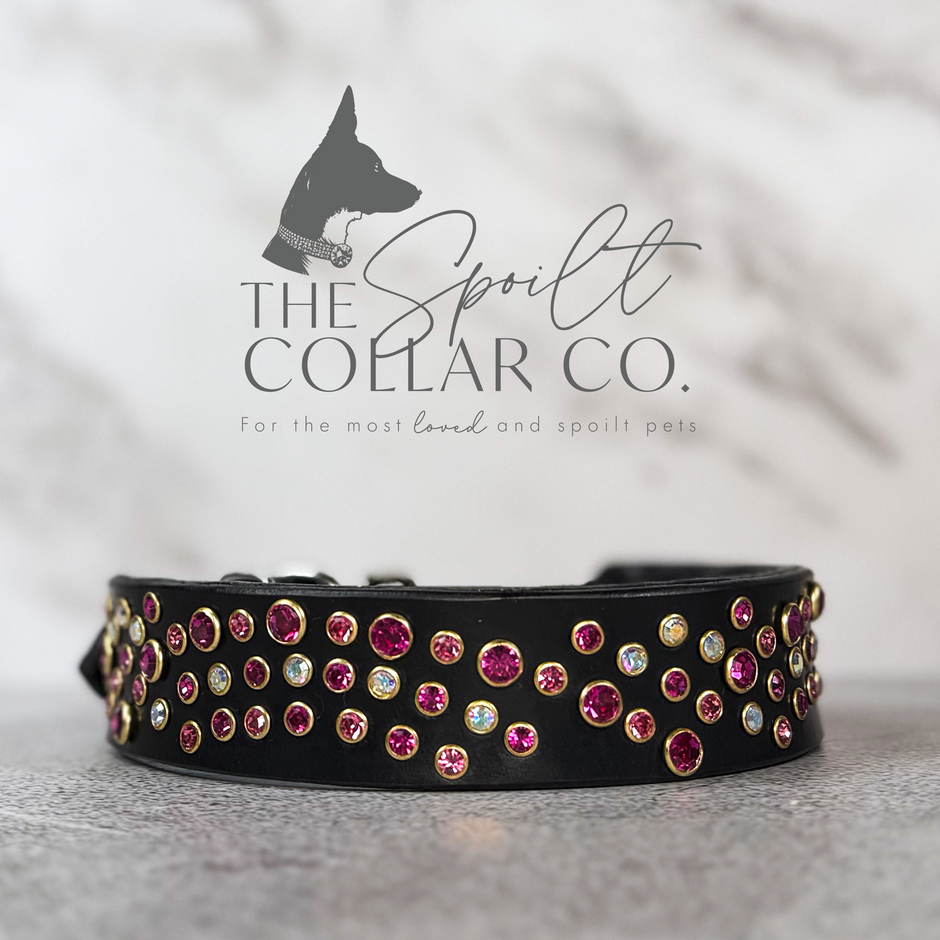 Leather dog collars | The Spoilt Collar Co
