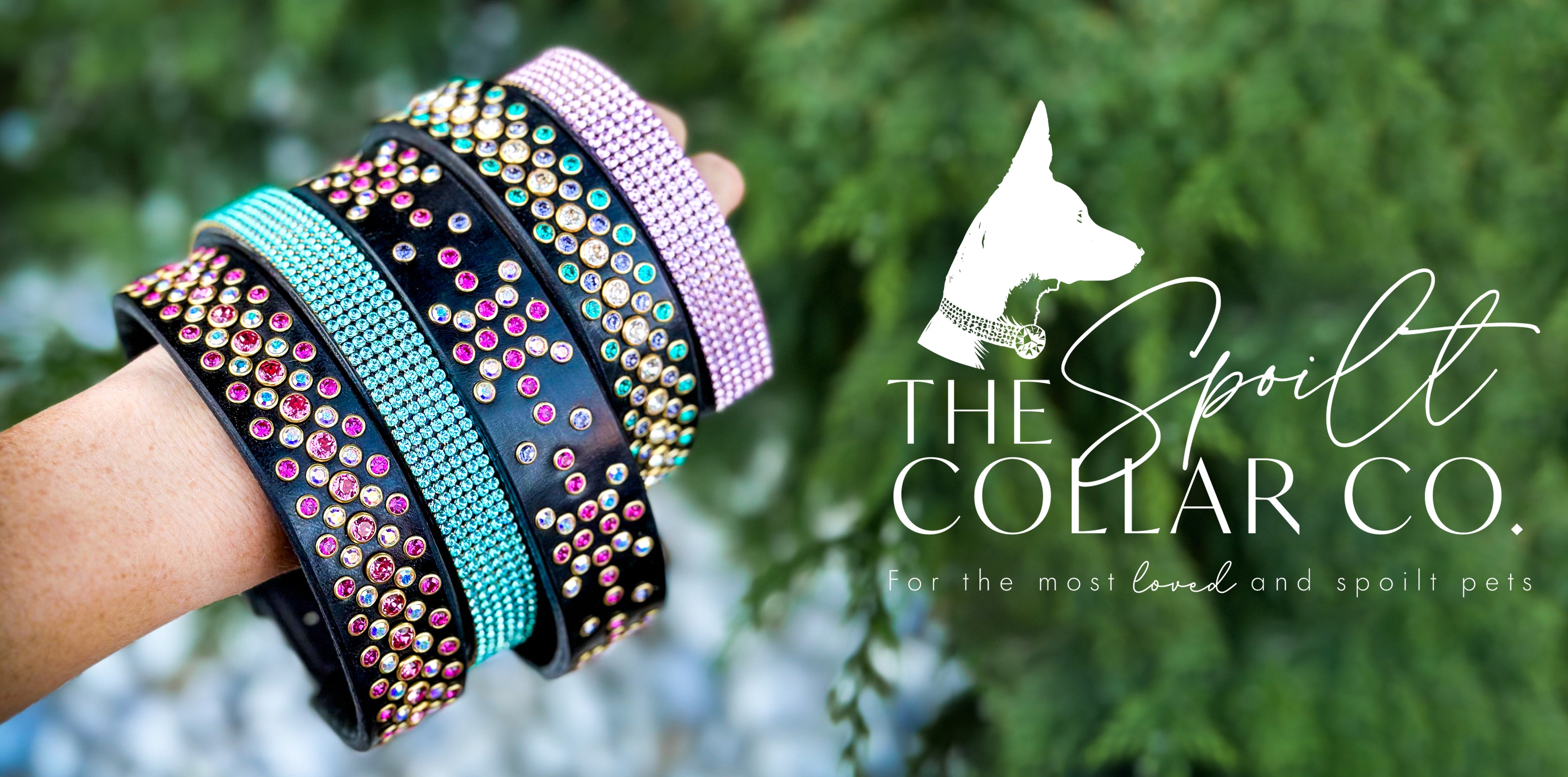 Luxury Dog Collars, Handmade Dog Collars, Crystal Dog Collars | The Spoilt Collar Co