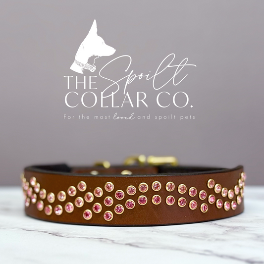 The Spoilt Collar Co
PINK WAVE CRYSTAL, CONKER LEATHER WITH COLLAR TO FIT 32CM-38CM