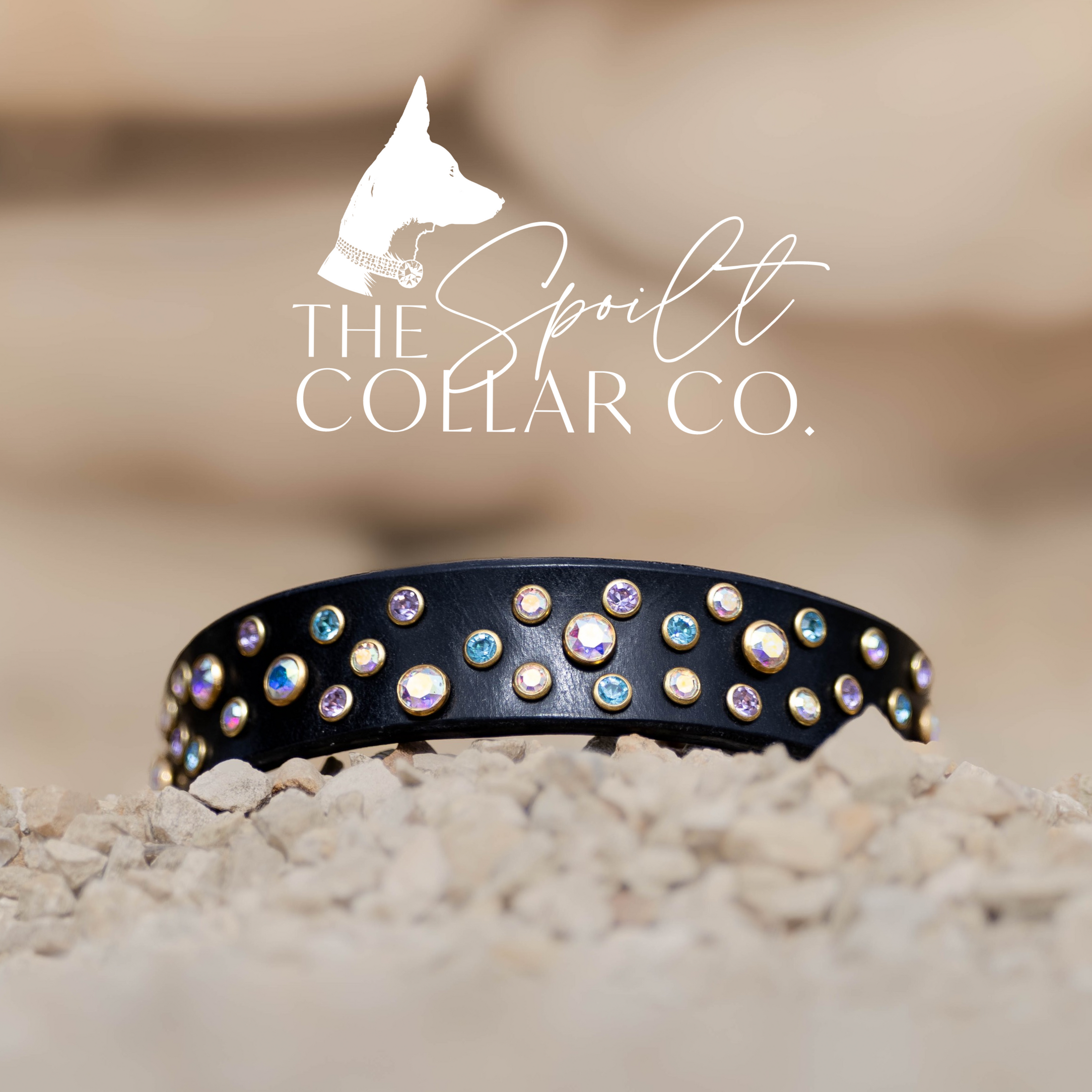 READY TO SHIP - RANDOM COSMIC CRYSTAL DESIGN, BLACK LEATHER DOG COLLAR 28CM-31CM