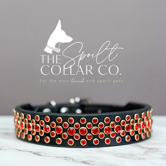 The Spoilt Collar Co
5 ROW BLACK LEATHER WITH ALL RED CRYSTALS 34.5CM-38.5CM