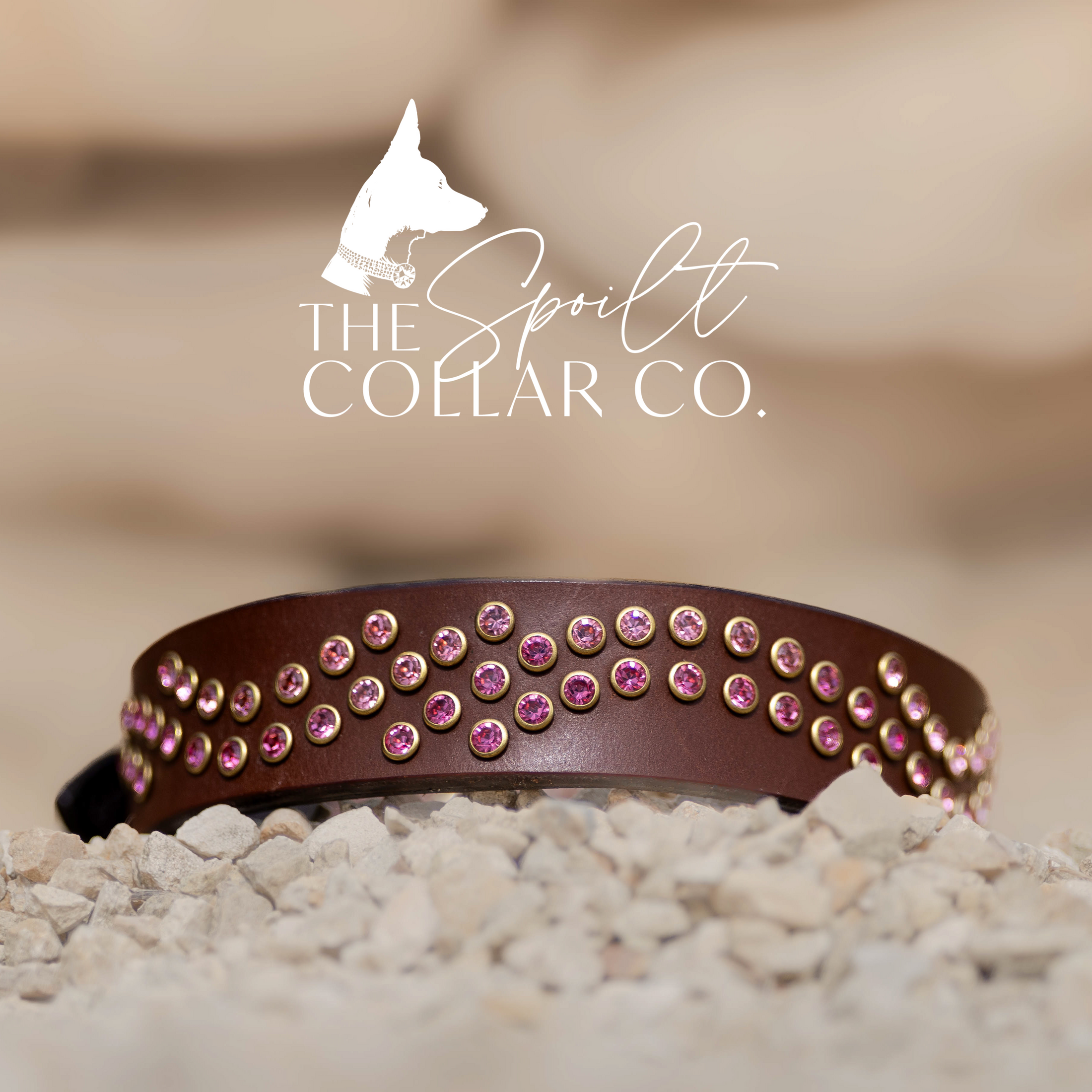 READY TO SHIP - PINK WAVE CRYSTAL, CONKER LEATHER WITH COLLAR TO FIT 32CM-38CM
