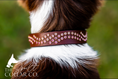Load image into Gallery viewer, READY TO SHIP - PINK WAVE CRYSTAL, CONKER LEATHER WITH COLLAR TO FIT 32CM-38CM

