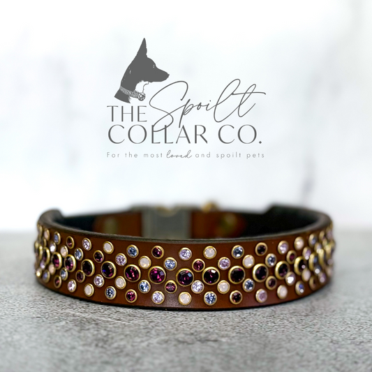 READY TO SHIP - 5 ROW ALL THE PURPLES CRYSTAL, CONKER LEATHER WITH COLLAR TO FIT 41CM