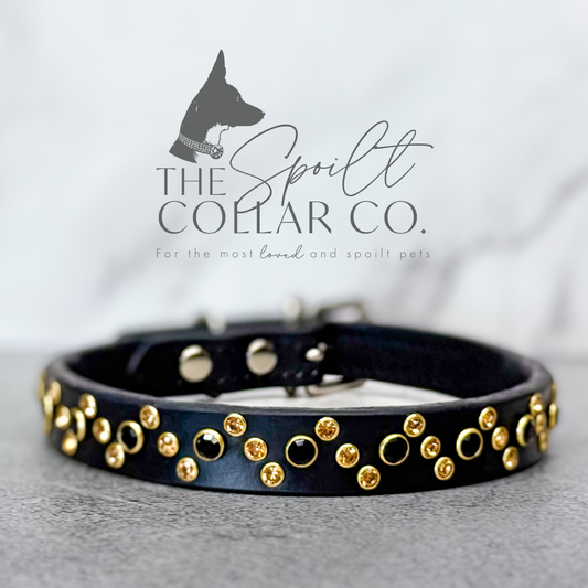 READY TO SHIP - GLIDED DOT BLACK AND GOLD CRYSTAL, BLACK LEATHER WITH COLLAR TO FIT 36CM-40CM
