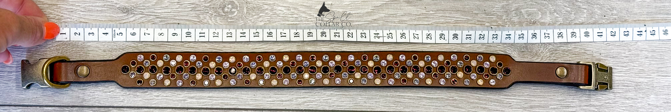 READY TO SHIP - 5 ROW ALL THE PURPLES CRYSTAL, CONKER LEATHER WITH COLLAR TO FIT 41CM