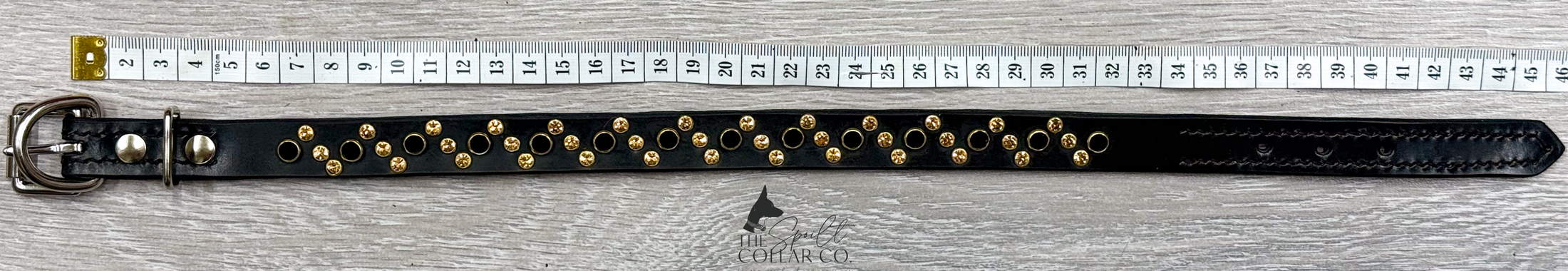 READY TO SHIP - GLIDED DOT BLACK AND GOLD CRYSTAL, BLACK LEATHER WITH COLLAR TO FIT 36CM-40CM