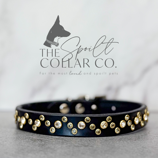 READY TO SHIP - GLIDED DOT SILVER CRYSTAL, BLACK LEATHER WITH COLLAR TO FIT 36.5CM-40.5CM